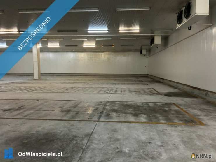 6 pokojowe, Lokal użytkowy  do wynajęcia, Szczecinek, ul. Pilska