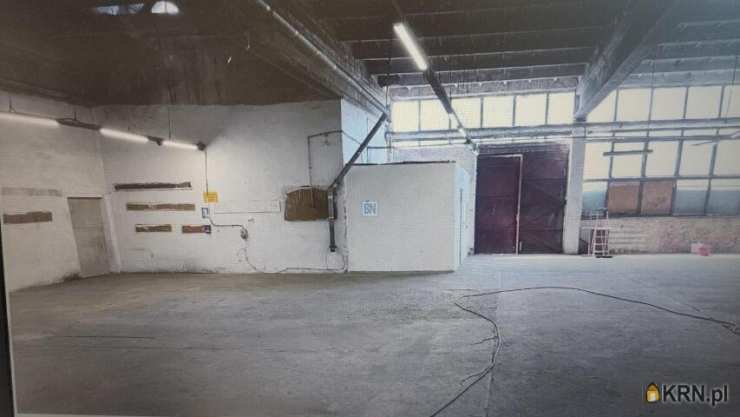 Lokal użytkowy  do wynajęcia, Bytom, ul. , 2 pokojowe