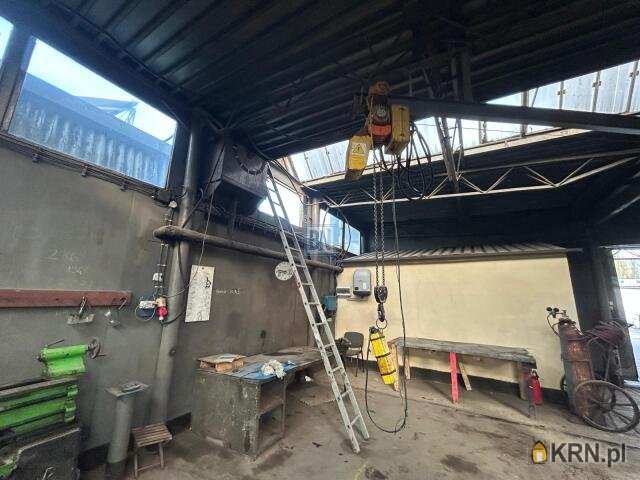 Gliwice, ul. , Lokal użytkowy  do wynajęcia, 7 pokojowe