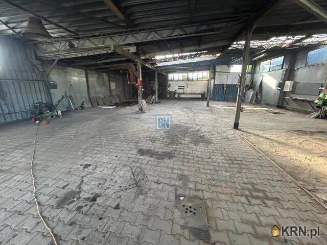 7 pokojowe, Gliwice, ul. , Lokal użytkowy  do wynajęcia