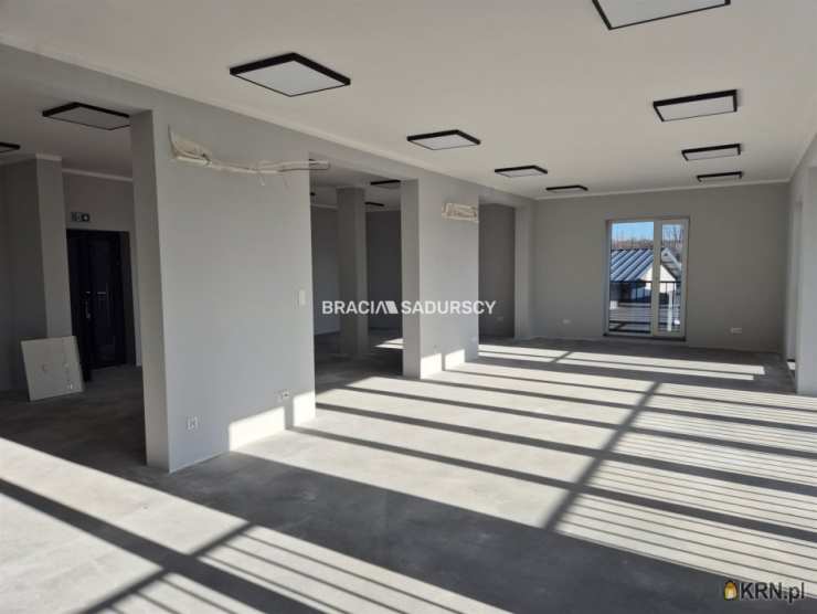 Lokal użytkowy  do wynajęcia, 24 pokojowe, Kraków, Czyżyny/Łęg, ul. 