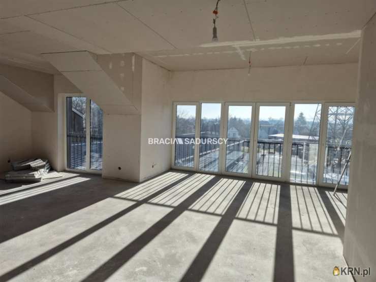 Lokal użytkowy  do wynajęcia, 24 pokojowe, Kraków, Czyżyny/Łęg, ul. 