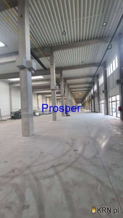 Lokal użytkowy  do wynajęcia, Dąbrowa Górnicza, ul. , 