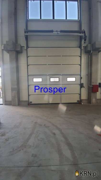 Lokal użytkowy  do wynajęcia, , Dąbrowa Górnicza, ul. 