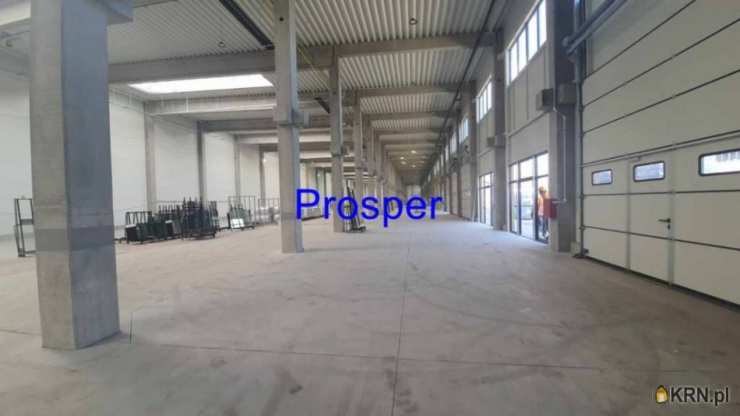 Lokal użytkowy  do wynajęcia, , Dąbrowa Górnicza, ul. 