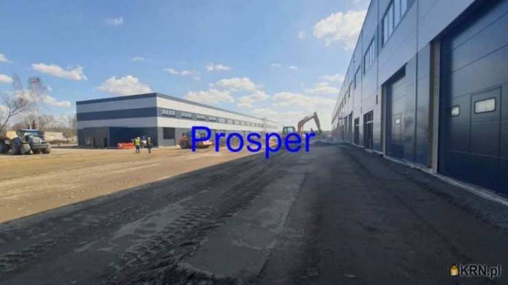 Dąbrowa Górnicza, ul. , , Lokal użytkowy  do wynajęcia