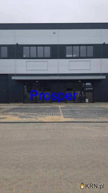 Lokal użytkowy  do wynajęcia, Sosnowiec, ul. , 