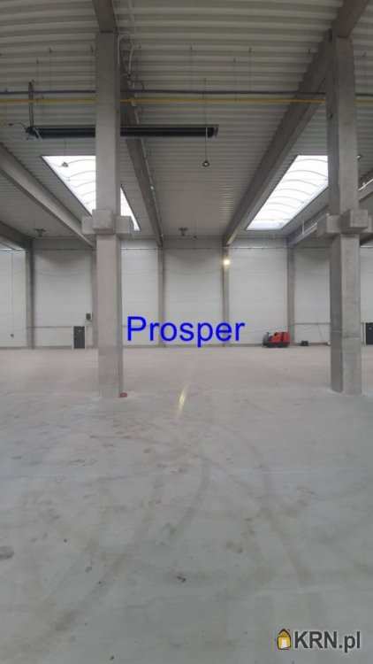 Sosnowiec, ul. , Lokal użytkowy  do wynajęcia, 