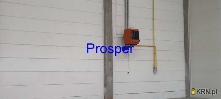 Prosper - Nieruchomości, Lokal użytkowy  do wynajęcia, Sosnowiec, ul. 