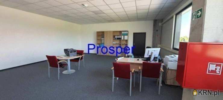 Lokal użytkowy  do wynajęcia, Sosnowiec, ul. , 