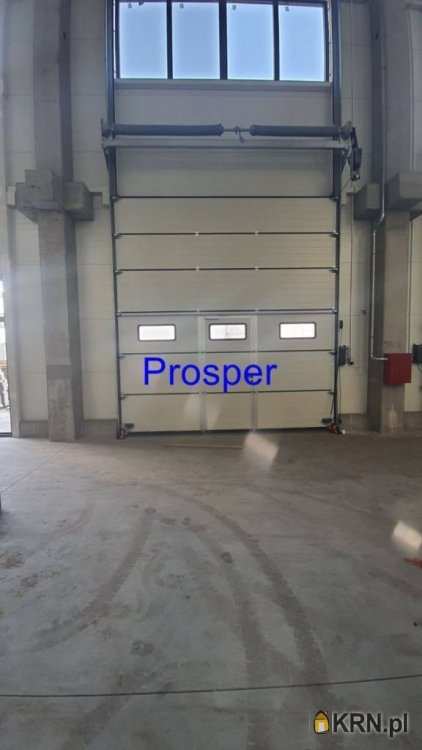 Sosnowiec, ul. , Lokal użytkowy  do wynajęcia, 