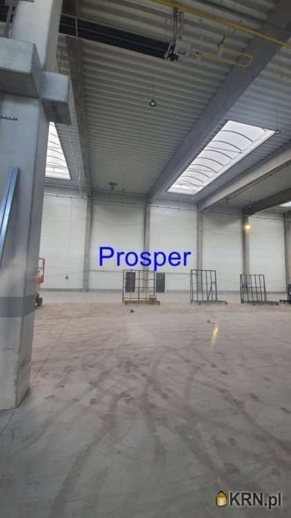 Sosnowiec, ul. , , Lokal użytkowy  do wynajęcia