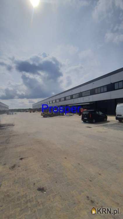 , Sosnowiec, ul. , Lokal użytkowy  do wynajęcia