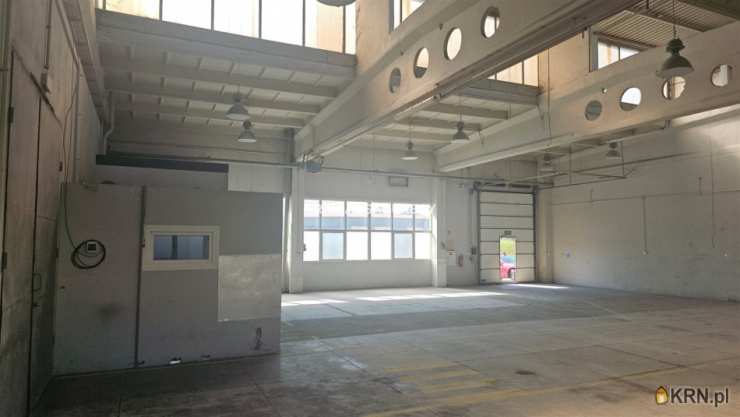 , Lokal użytkowy  do wynajęcia, Niepołomice, ul. Grabska