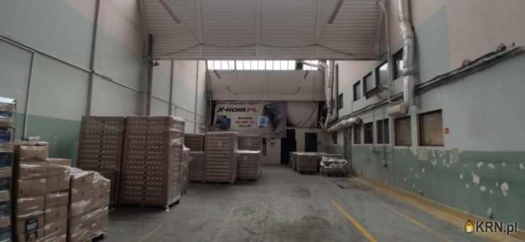 Lokal użytkowy  do wynajęcia, Częstochowa, ul. , 1 pokojowe