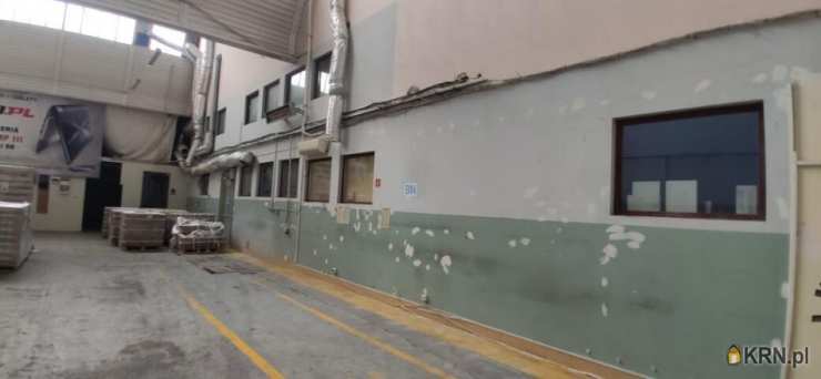 Lokal użytkowy  do wynajęcia, 1 pokojowe, Częstochowa, ul. 