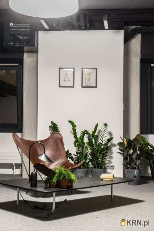 Warszawa, Praga Północ, ul. , , Lokal użytkowy  do wynajęcia