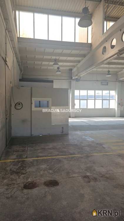 Bracia Sadurscy Oddział BS3 Przewóz, Lokal użytkowy  do wynajęcia, Niepołomice, ul. Grabska