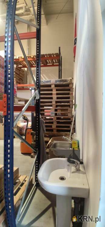 9 pokojowe, Lokal użytkowy  do wynajęcia, pow. Gliwicki, ul. 