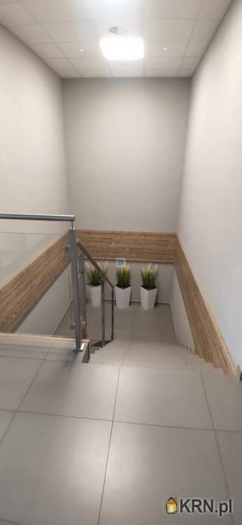 Lokal użytkowy  do wynajęcia, pow. Gliwicki, ul. , 9 pokojowe