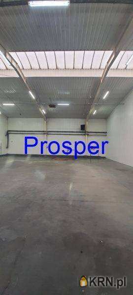 Katowice, ul. , , Lokal użytkowy  do wynajęcia