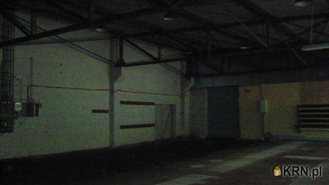 Lokal użytkowy  do wynajęcia, Katowice, ul. , 