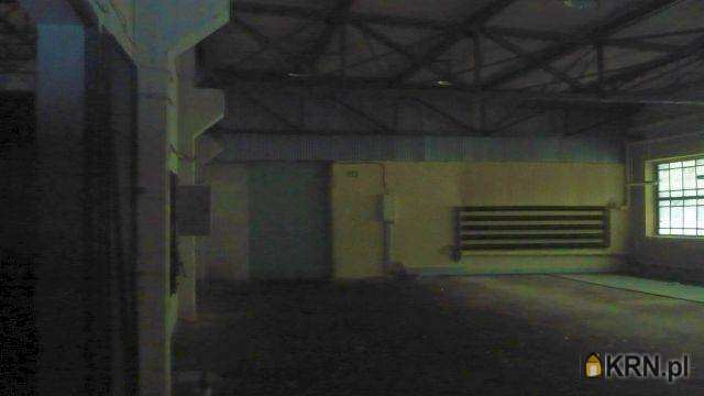 Lokal użytkowy  do wynajęcia, , Katowice, ul. 