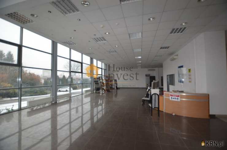 Legnica, ul. , Lokal użytkowy  do wynajęcia, 