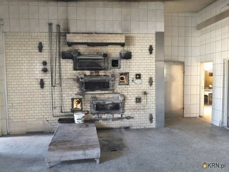 Lokal użytkowy  na sprzedaż, 12 pokojowe, Krasocin, ul. 