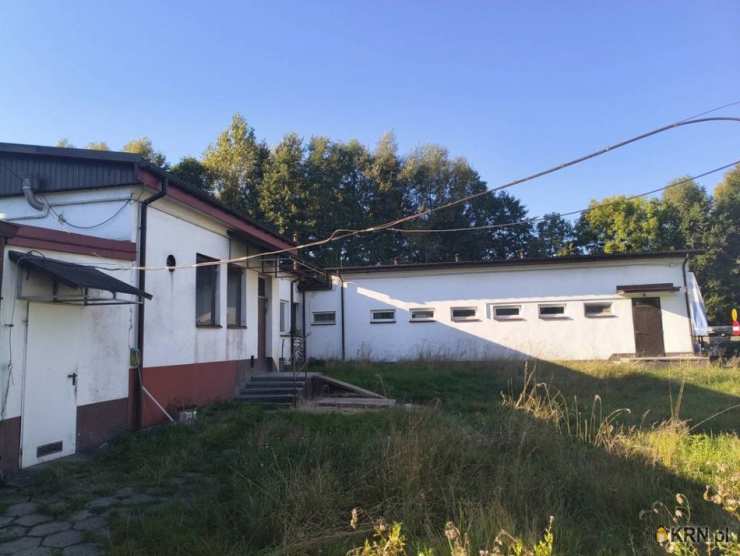 Krasocin, ul. , Lokal użytkowy  na sprzedaż, 12 pokojowe