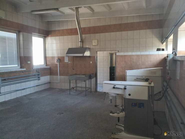 12 pokojowe, Krasocin, ul. , Lokal użytkowy  na sprzedaż