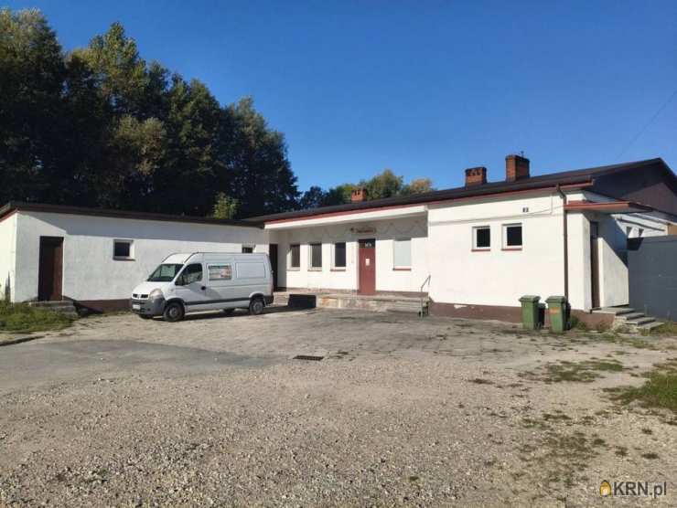 12 pokojowe, Lokal użytkowy  na sprzedaż, Krasocin, ul. 