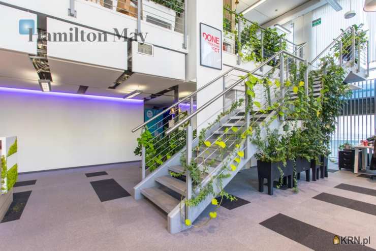 Hamilton May, Lokal użytkowy  do wynajęcia, Wrocław, Krzyki, ul. gen. J. H. Dąbrowskiego