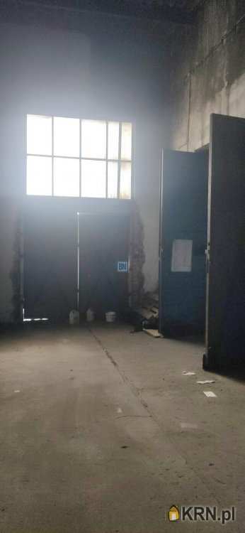 Lokal użytkowy  do wynajęcia, Gliwice, ul. , 1 pokojowe