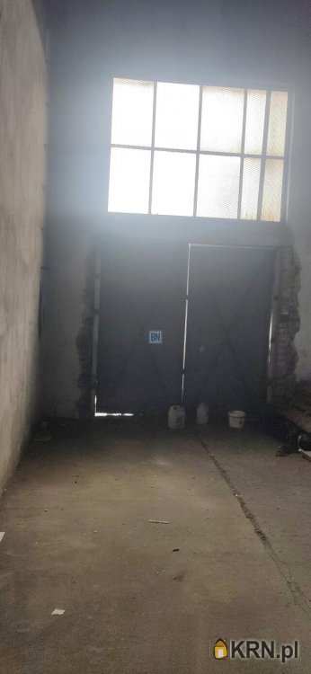 Gliwice, ul. , Lokal użytkowy  do wynajęcia, 1 pokojowe