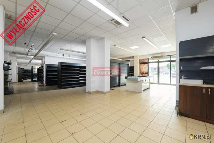 Emmerson Lumico Sp. z o. o., Lokal użytkowy  do wynajęcia, Nowe Brzesko, ul. 