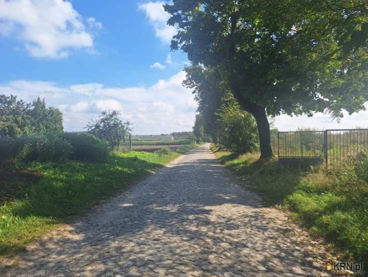 , Dobieszewo, ul. , Lokal użytkowy  na sprzedaż
