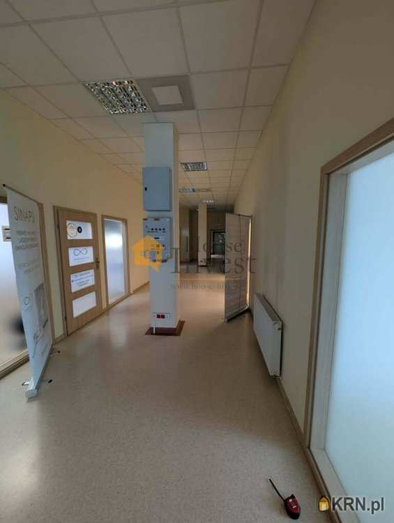 Lokal użytkowy  do wynajęcia, , Legnica, ul. 