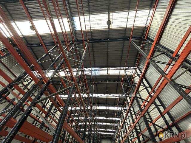 Bytom, ul. , 1 pokojowe, Lokal użytkowy  do wynajęcia