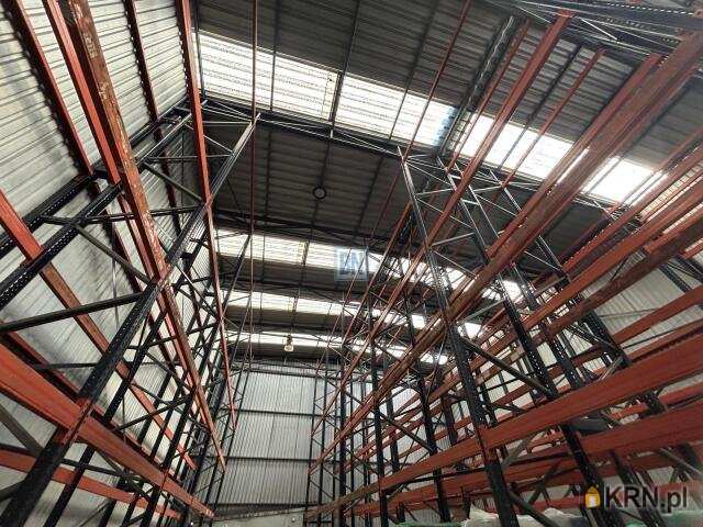 1 pokojowe, Bytom, ul. , Lokal użytkowy  do wynajęcia