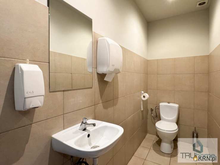 Chorzów, Chorzów Batory, ul. Graniczna, Lokal użytkowy  na sprzedaż, 6 pokojowe