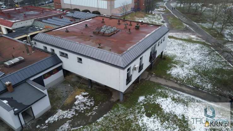 Chorzów, Chorzów Batory, ul. Graniczna, 6 pokojowe, Lokal użytkowy  na sprzedaż