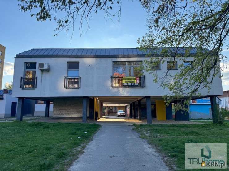 Chorzów, Chorzów Batory, ul. Graniczna, 6 pokojowe, Lokal użytkowy  na sprzedaż