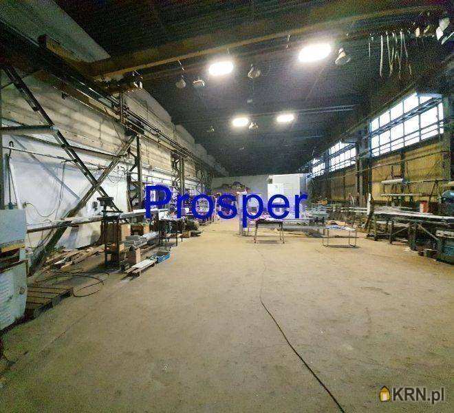 Lokal użytkowy  do wynajęcia, , Katowice, ul. 