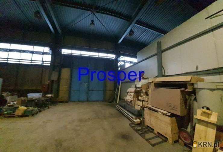 Katowice, ul. , , Lokal użytkowy  do wynajęcia