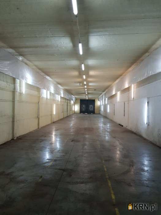 Przytoczna, ul. Dworcowa, Lokal użytkowy  do wynajęcia, 1 pokojowe