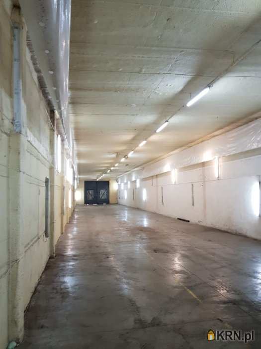 Przytoczna, ul. Dworcowa, 1 pokojowe, Lokal użytkowy  do wynajęcia