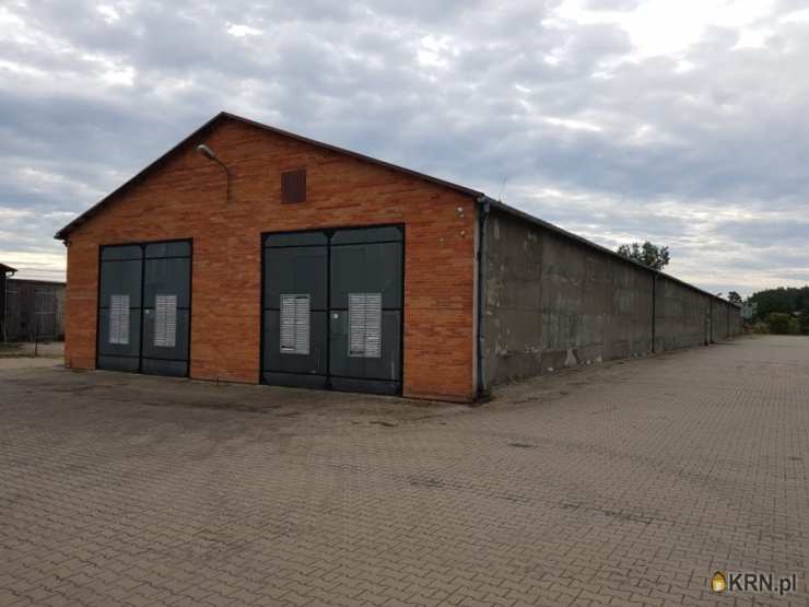 1 pokojowe, Przytoczna, ul. Dworcowa, Lokal użytkowy  do wynajęcia