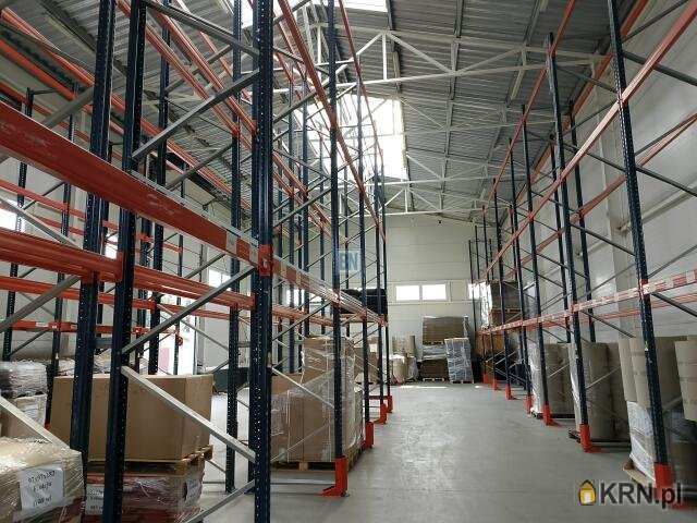 Lokal użytkowy  do wynajęcia, , Rybnik, ul. 