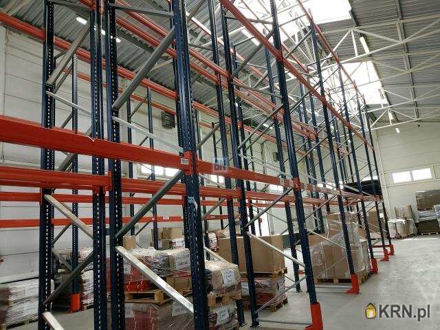 Rybnik, ul. , Lokal użytkowy  do wynajęcia, 